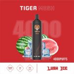 Tiger Mesh Disposable Vape 4000 Puffs- Lush Ice
