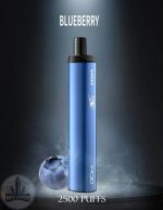 HQD Maxx Disposable Vape 2500 Puffs- Blueberry