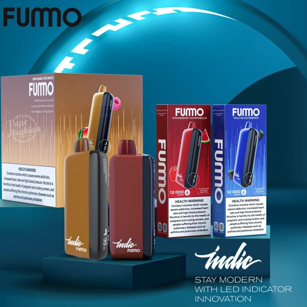 FUMMO Indic 12000 Puffs Disposable